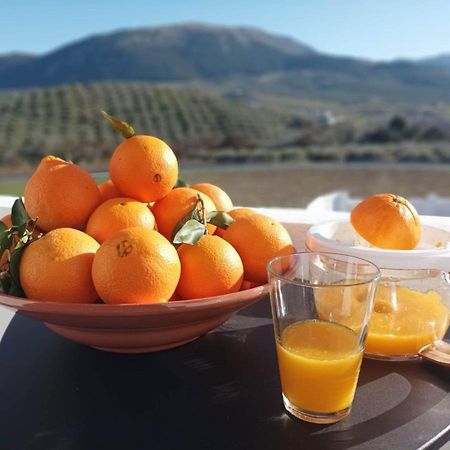 Casa Celeste Trabuco Villanueva del Trabuco Dış mekan fotoğraf