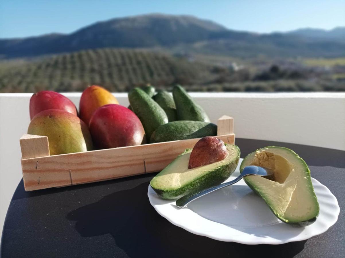 Casa Celeste Trabuco Villanueva del Trabuco Dış mekan fotoğraf